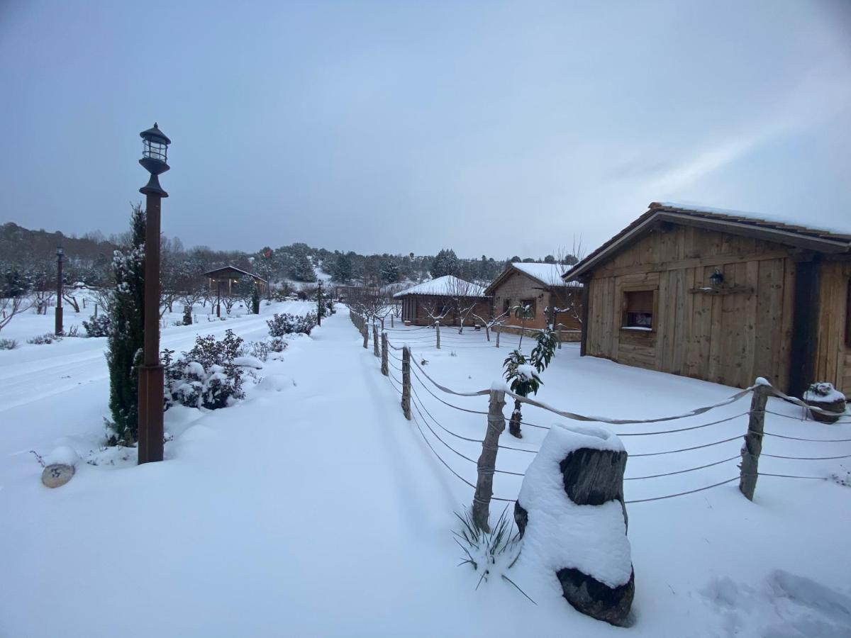 Rural Bagh Apartament