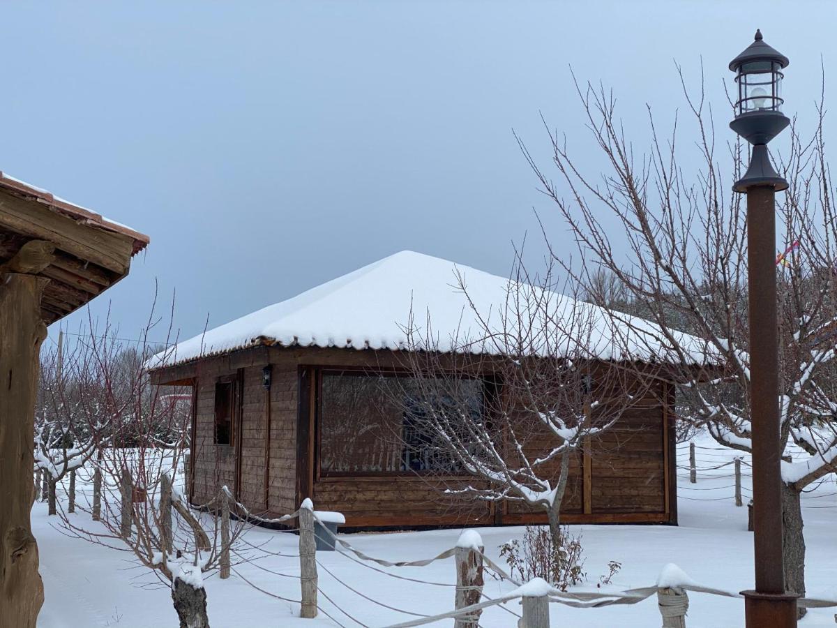 Apartament Rural Bagh
