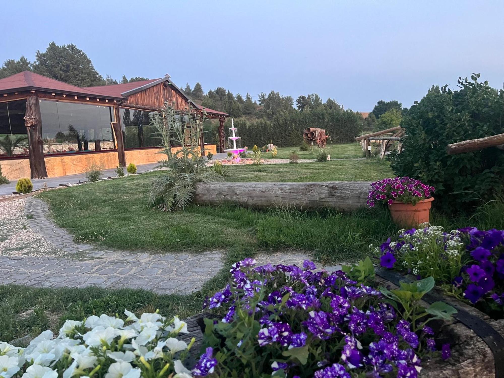 Rural Bagh Apartament
